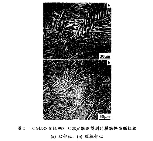 TC6鈦合金經993℃準β鍛造得到的模鍛件顯微組織(a) 肋部位；(b) 腹板部位